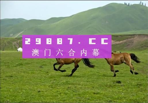 2004新澳门天天开好彩大全一,化解解答解释落实_R版65.391