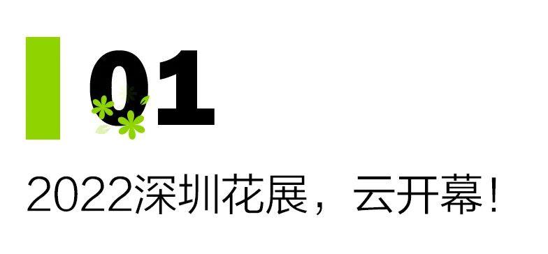 香港资料免费长期公开,官方解答解释落实_BT81.13