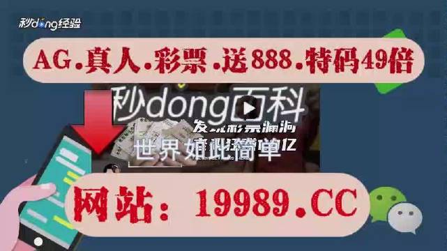 2024澳门六今晚开奖记录,全景解答解释落实_2DM58.873