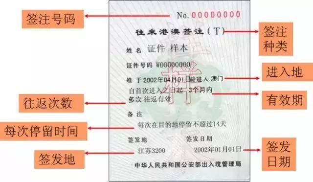 2024年11月6日 第13页